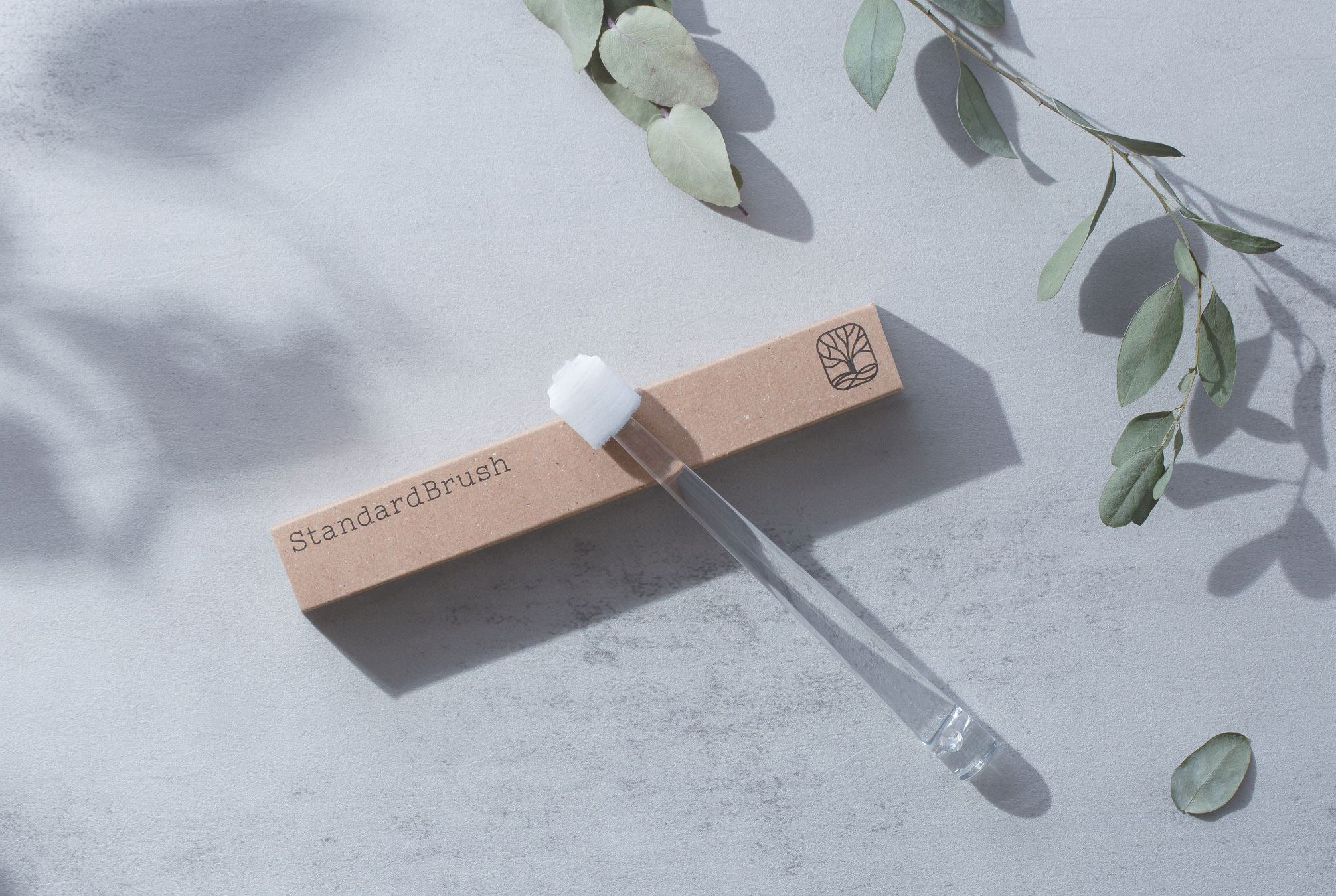 	ＳｔａｎｄａｒｄＢｒｕｓｈ	