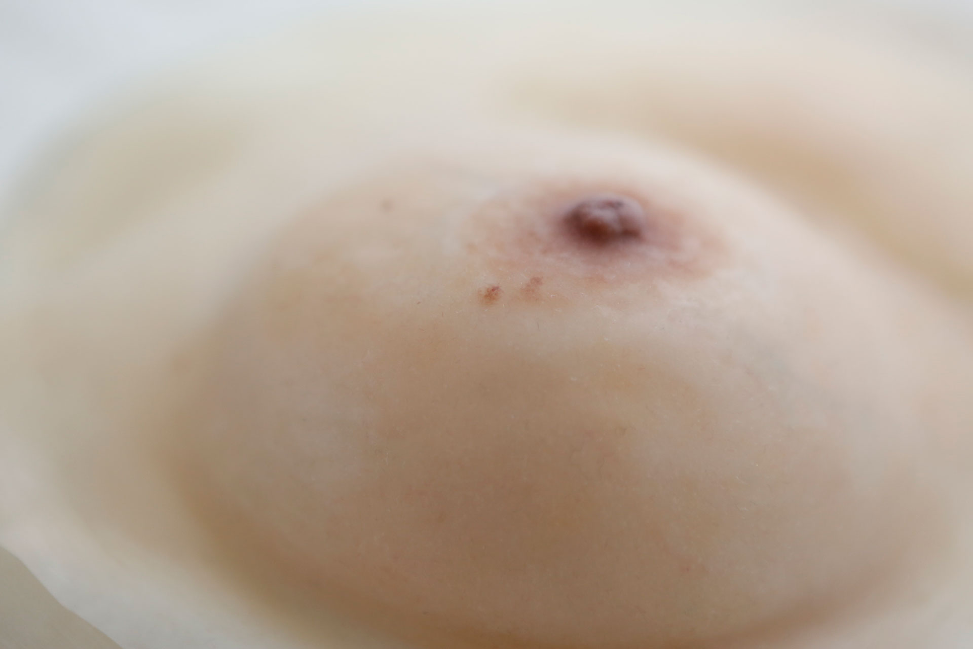 	株式会社カノアクルー	