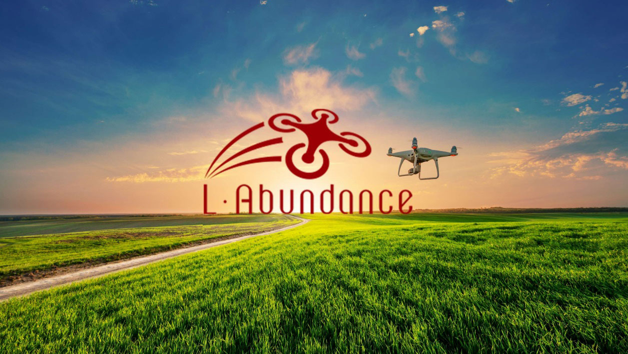 	エル・アバンダンス株式会社	