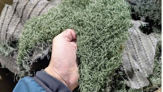 	株式会社ピリカ	