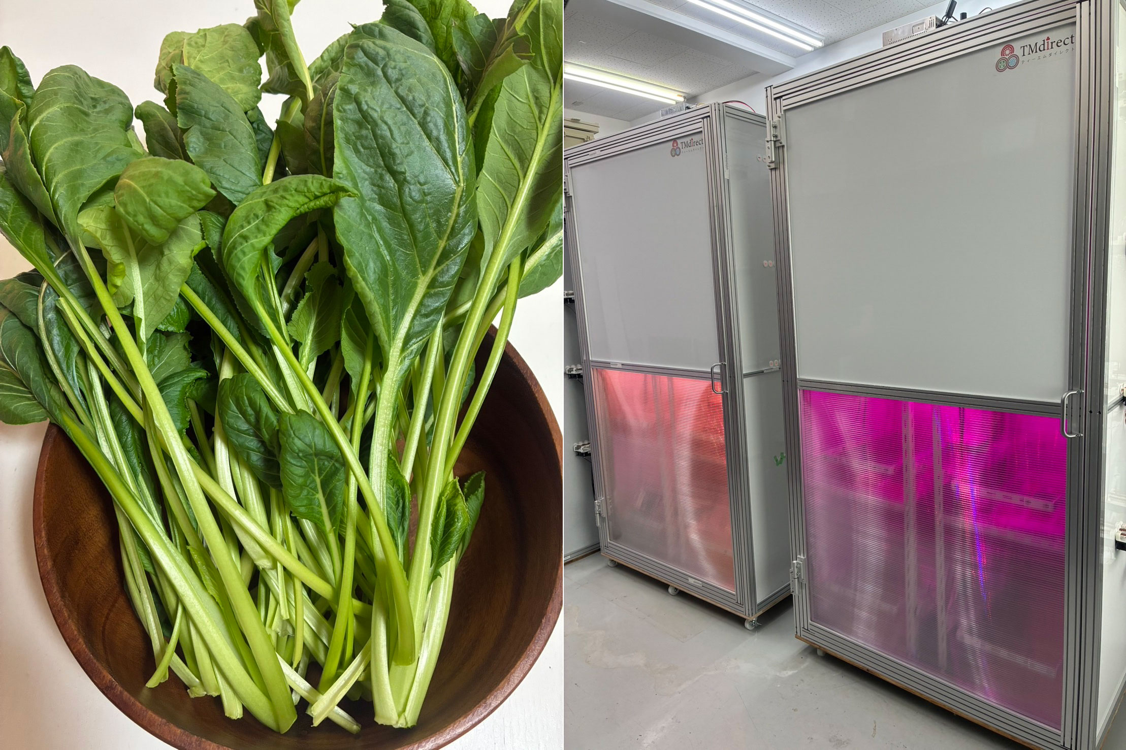 	株式会社ティーエムダイレクト	